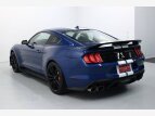 Thumbnail Photo 49 for 2022 Ford Mustang Shelby GT500